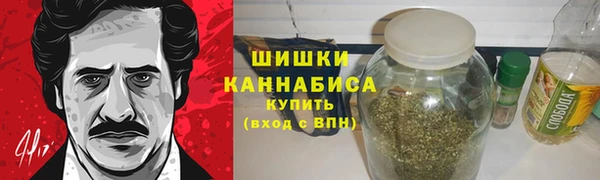 прущие грибы Армянск
