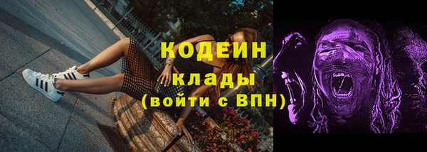 прущие грибы Армянск