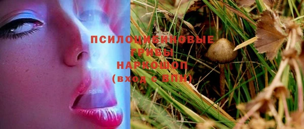 прущие грибы Армянск