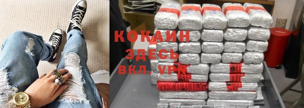 прущие грибы Армянск