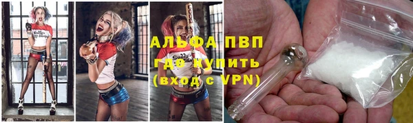 прущие грибы Армянск