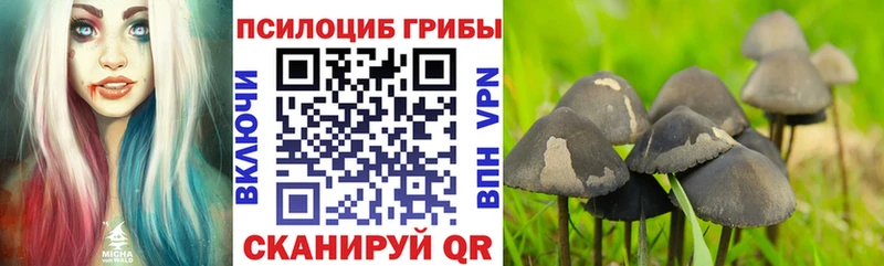 Псилоцибиновые грибы MAGIC MUSHROOMS  Асбест 